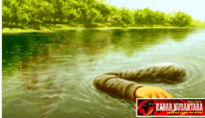 Seorang  Warga  Menemukan  Sosok  Mayat  Yang  Sedang  Mengambang   Di  Danau   Nyimplung