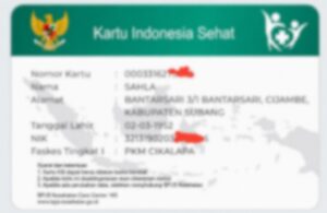 Mobile JKN Permudah Peserta BPJS Kesehatan di Subang