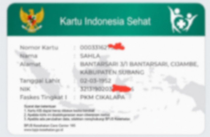 Mobile JKN Permudah Peserta BPJS Kesehatan di Subang